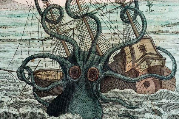 Kraken найдется все