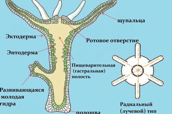 Кракен правила площадки