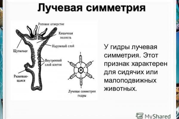 Сайт кракен зайти