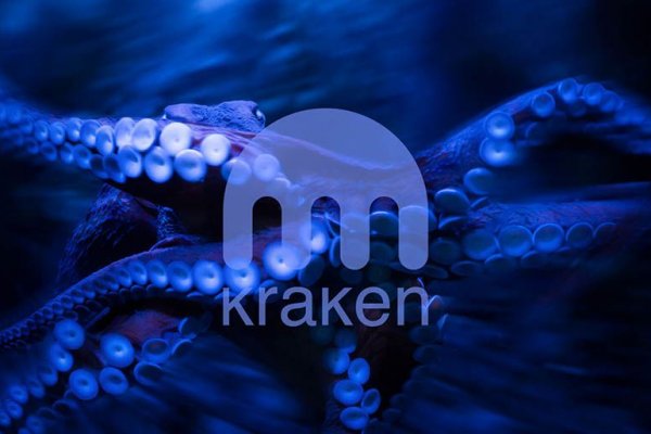 Kraken найдется все