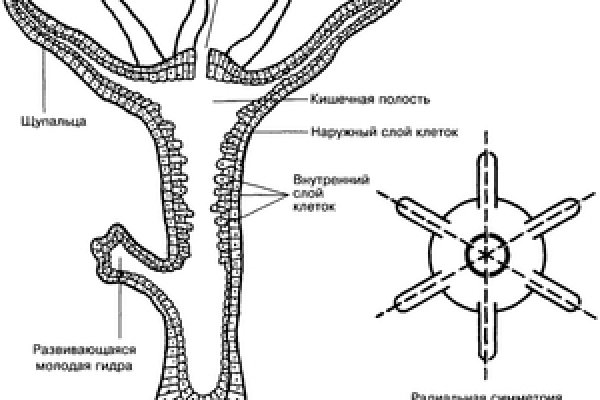 Kraken https что это